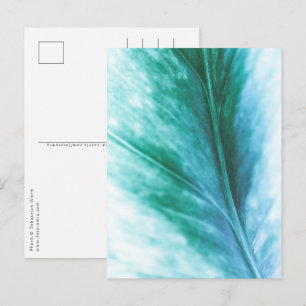 Carte Postale Photo vert turquoise Feuille Nature