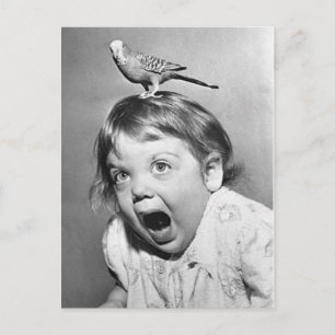 Carte postale photo vintage