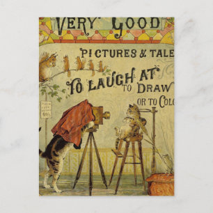 Carte Postale Photographe de chat aux chats