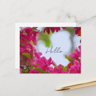 Carte Postale Photographie de fleurs de printemps