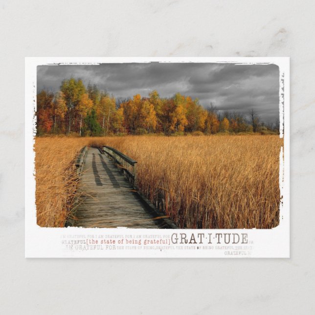 Carte Postale photographie de gratitude d'automne (Devant)