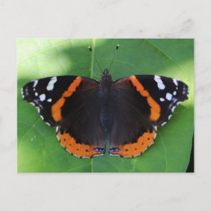 Carte Postale Photographie de la nature pour les amoureux du jar