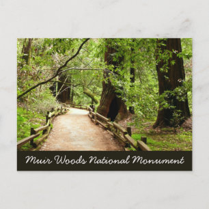 Carte Postale Photographie de la nature sur le sentier de Muir W