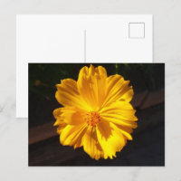 Photographie de macro à fleurs dorées