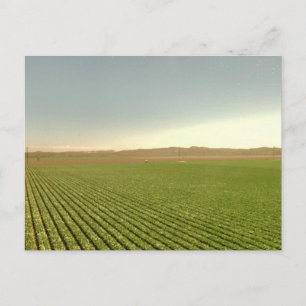Carte Postale Photographie de paysage de champs cultivés de l'Ou