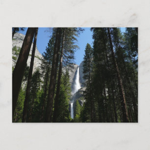 Carte Postale Photographie de paysage de Yosemite Falls et de bo
