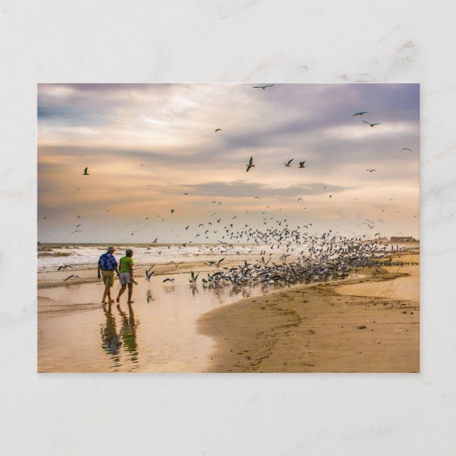Carte Postale Photographie de voyage sur une plage de Floride (Devant)