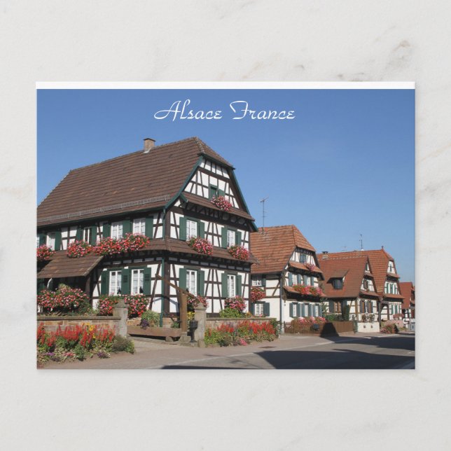 Carte Postale Photographie des maisons à colombages Alsace Franc (Devant)