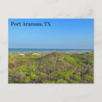 Photographie d'herbe de plage de Port Aransas Texa