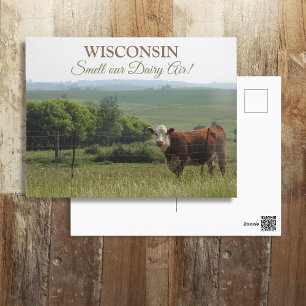Carte Postale Photographie du Midwest Belle vache et paysage