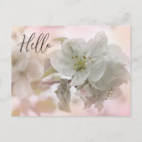 Photographie en fleurs de pomme blanche Bonjour