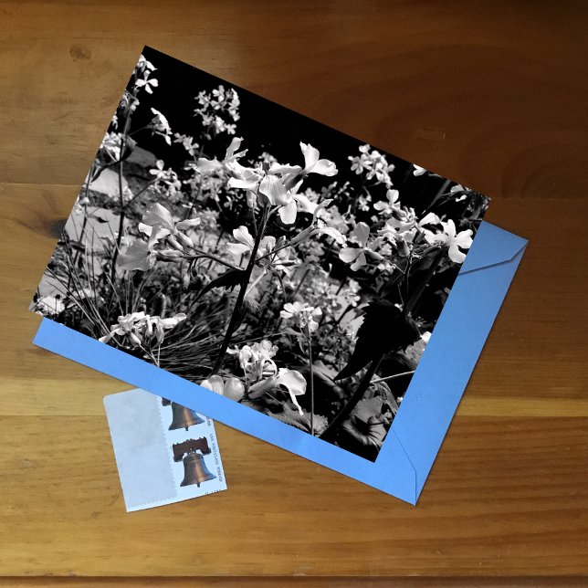 Carte Postale Photographie florale noir et blanc Fleurs de print (Créateur téléchargé)