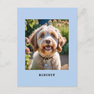 Carte Postale Photographie personnalisée de chien chat avec nom