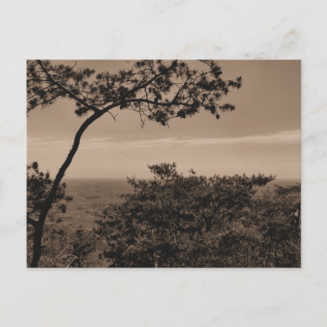 Carte postale photographique de paysage monochrome (Devant)