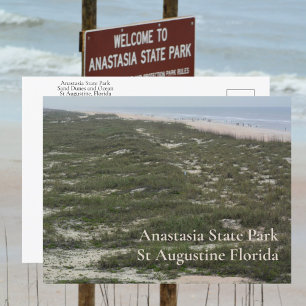 Carte Postale Photographique du parc d'État d'Anastasia à Saint 