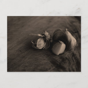 Carte Postale Photos d'Art de l'ail Still Life