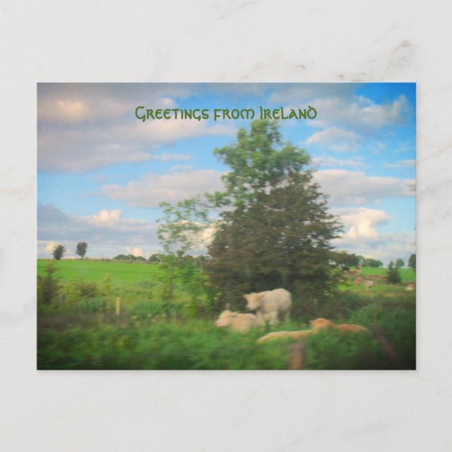 Carte Postale Photos des salutations d'Irlande (Devant)