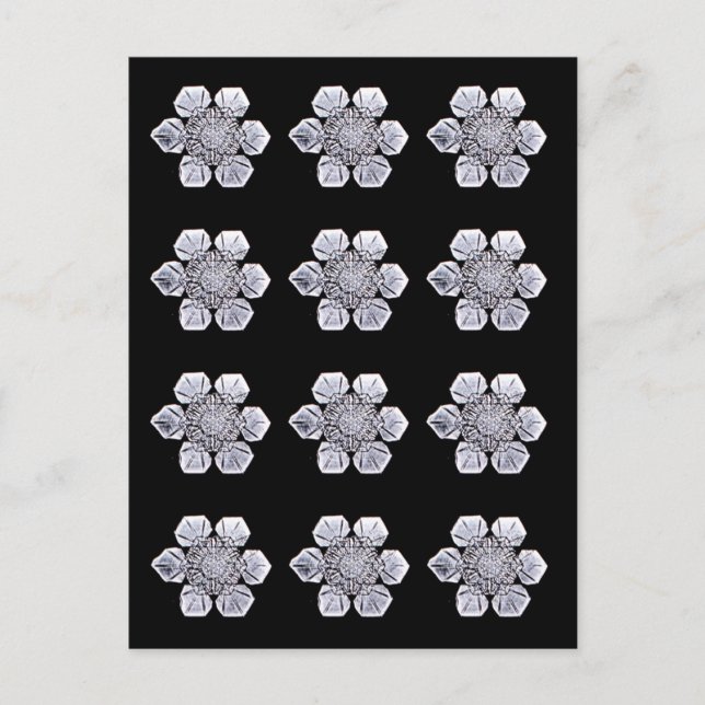 Carte Postale Photos en cristal de flocon de neige (Devant)