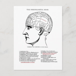 Carte Postale Phrenologie des humanités Médicales