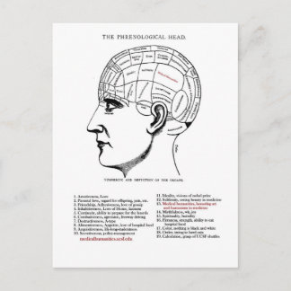Carte Postale Phrenologie des humanités Médicales