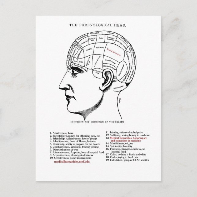 Carte Postale Phrenologie des humanités Médicales (Devant)