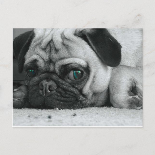 Carte Postale pic (Devant)