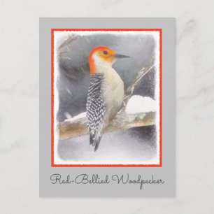 Carte Postale Pic à ventre rouge Peinture Oiseaux Art Original