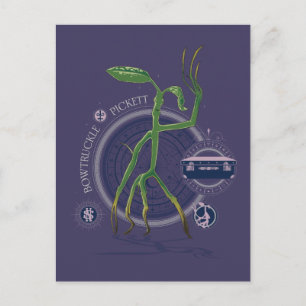Carte Postale PICKETT™ Le graphique BOWTRUCKLE™