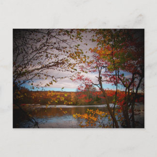 Carte Postale pics nature