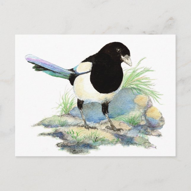 Carte Postale Pie mignonne - oiseau d'aquarelle (Devant)