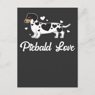 Carte Postale Piebald Dachshund Chien Propriétaire Cadeau