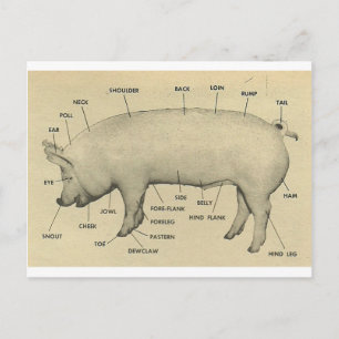 Carte Postale pièces de porc
