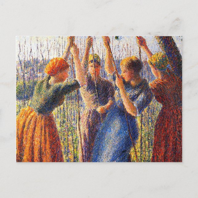 Carte Postale Pieds plantes de femmes agricultrices par Camille  (Devant)