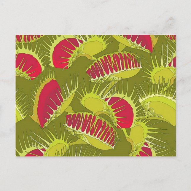 Carte Postale piège à mouches d'Halloween (Devant)