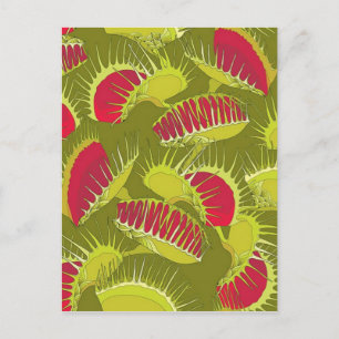 Carte Postale piège à mouches halloween