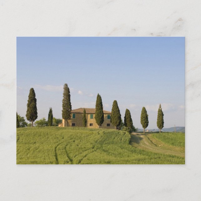 Carte Postale Pienza, Val d'Orcia, province de Sienne, Toscane, (Devant)
