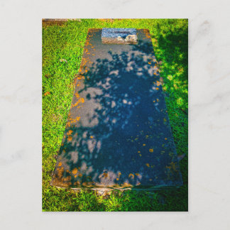 Carte Postale Pierre tombale plate avec ombres de feuilles