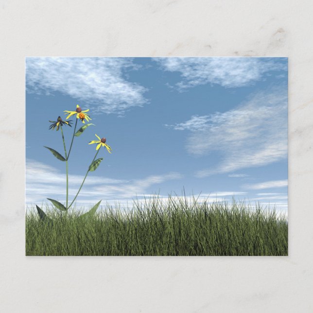 Carte Postale Pierres pacifiques - rendu 3D (Devant)