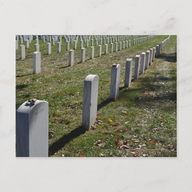 Carte Postale Pierres posées sur les pierres tombales des soldat (Devant)