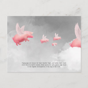 Carte Postale Pig volant