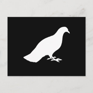 Carte Postale Pigeon