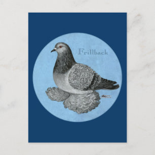 Carte Postale Pigeon à tête bleue