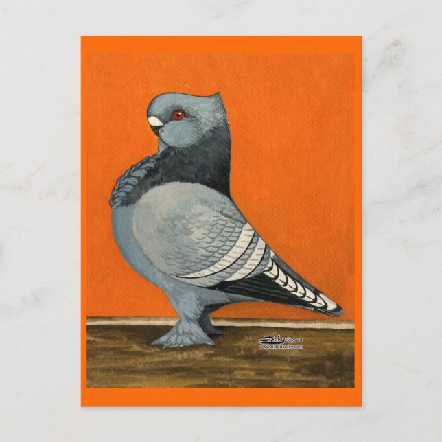 Carte Postale Pigeon Blondinette Bleue (Devant)