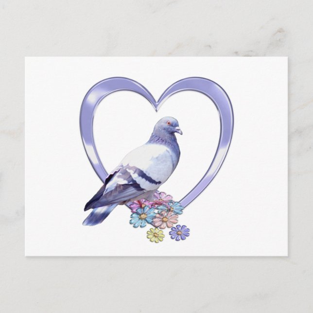 Carte Postale Pigeon dans le coeur (Devant)