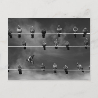 Carte postale Pigeon Foosball