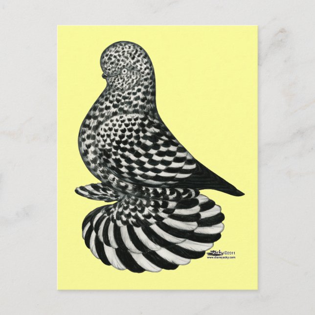 Carte Postale Pigeon mousseux mousseux (Devant)