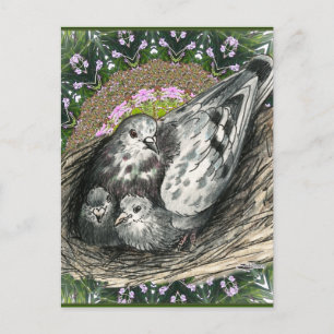 Carte Postale Pigeon Nest