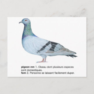 Carte Postale Pigeon par NuancesdePigeon T-shirts