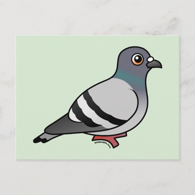 Carte Postale Pigeon Rocher (Devant)