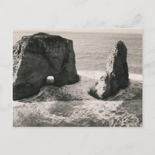 Carte Postale Pigeon Rock